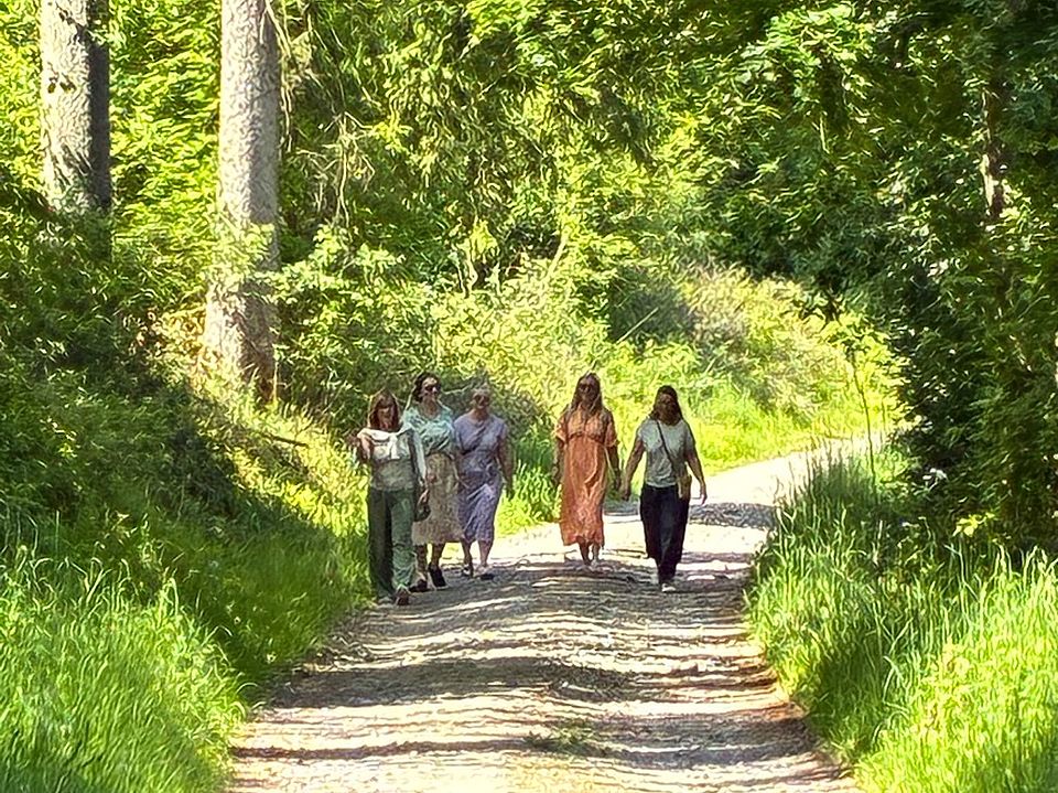 2026_05_26_Teamtag_Kita_Bühren__1_.jpeg Team der Kita Bühren beim Spaziergang im Wald während des Teamtags des DRK-Kreisverbandes Göttingen-Northeim e. V.