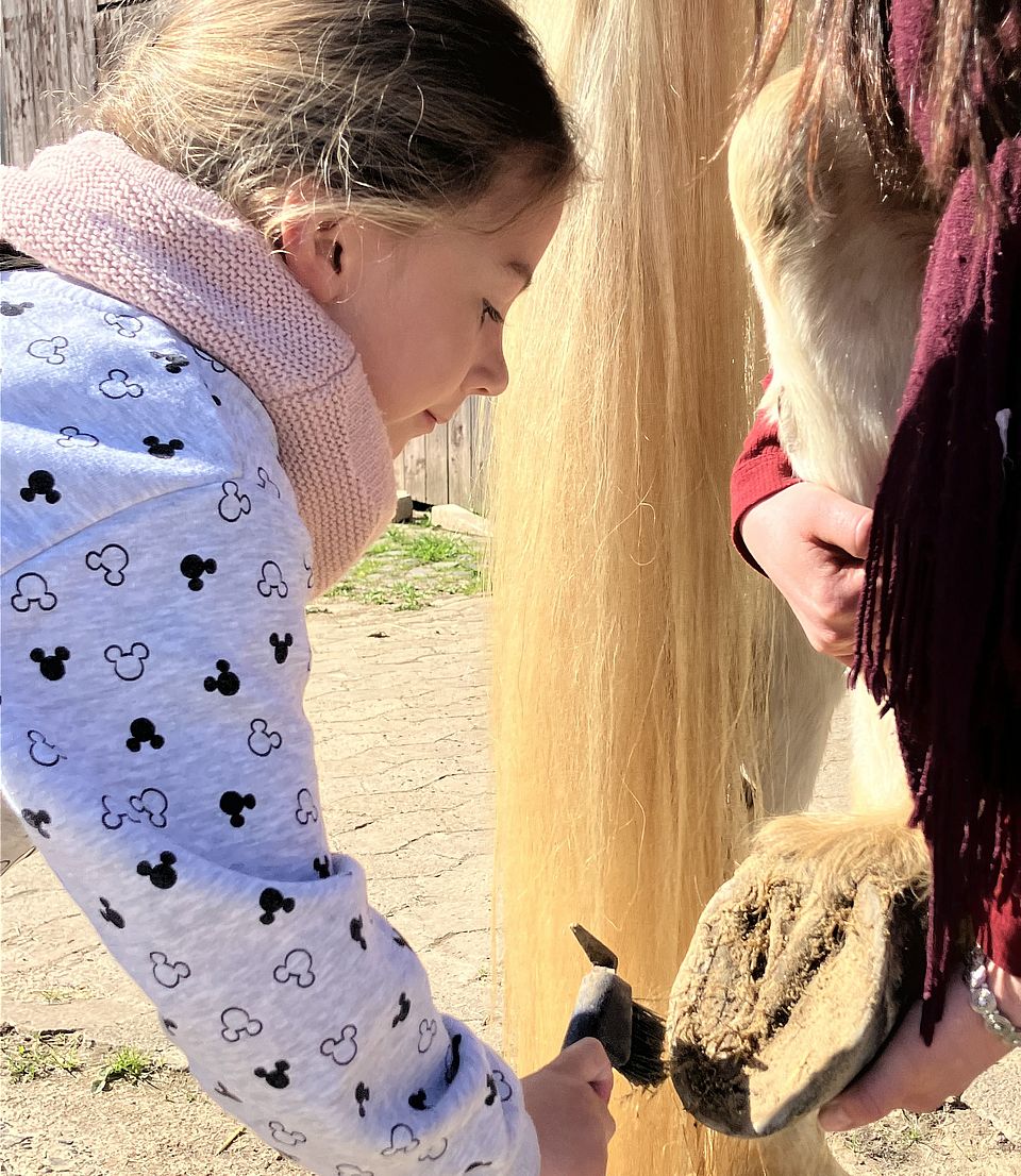 Reitstallausflug der DRK-Kita Scheden: Ein Kind kratzt Hufe eines Pferdes aus
