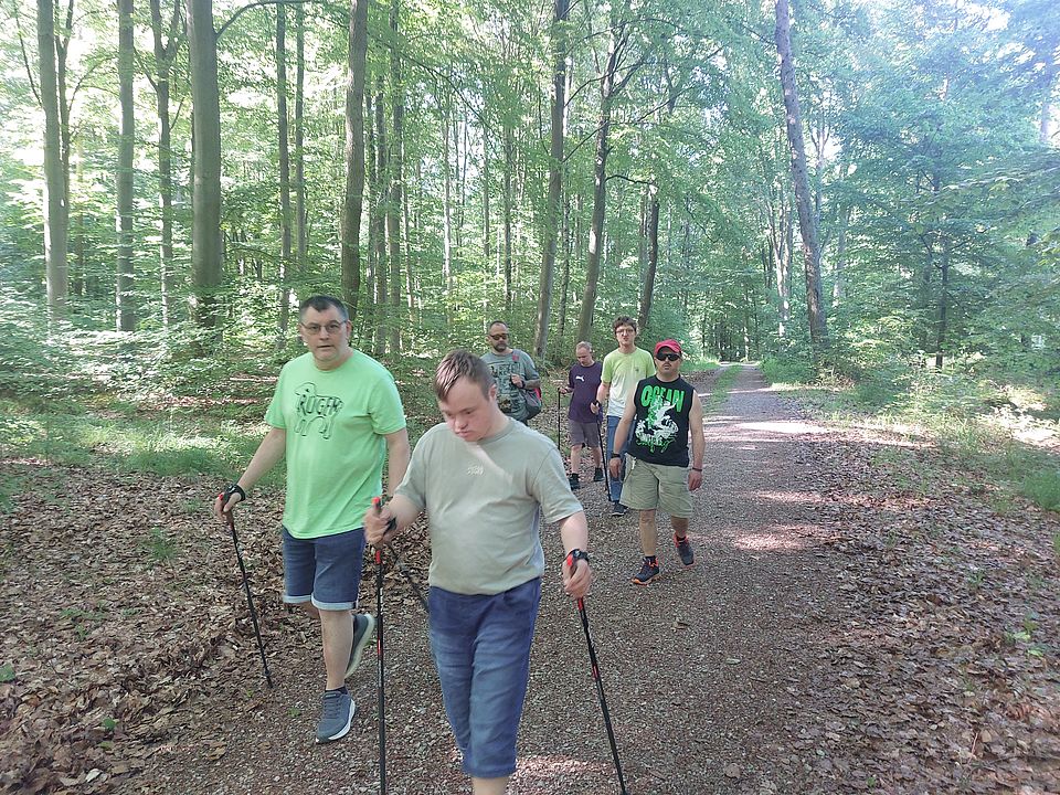 2026_10_05_FED_Sportgruppe.jpg Teilnehmende der FED-Sportgruppe beim gemeinsamen Nordic Walking auf einem Waldweg bei Northeim.